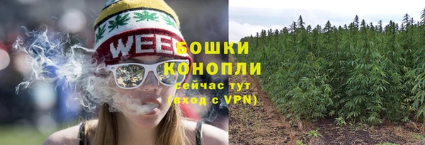 МДПВ Михайлов