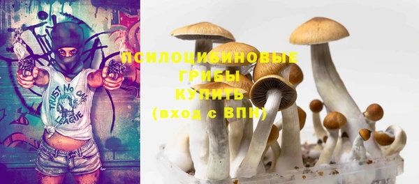 МДПВ Михайлов