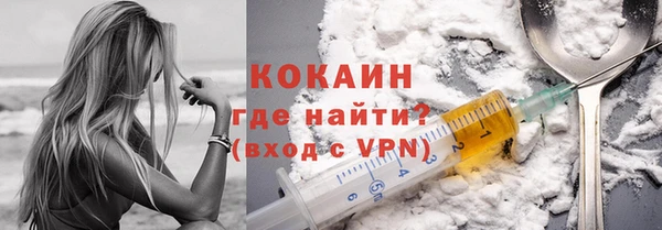 МДПВ Михайлов