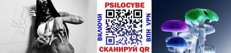 Псилоцибиновые грибы Magic Shrooms  Купить закладки  Каспийск 